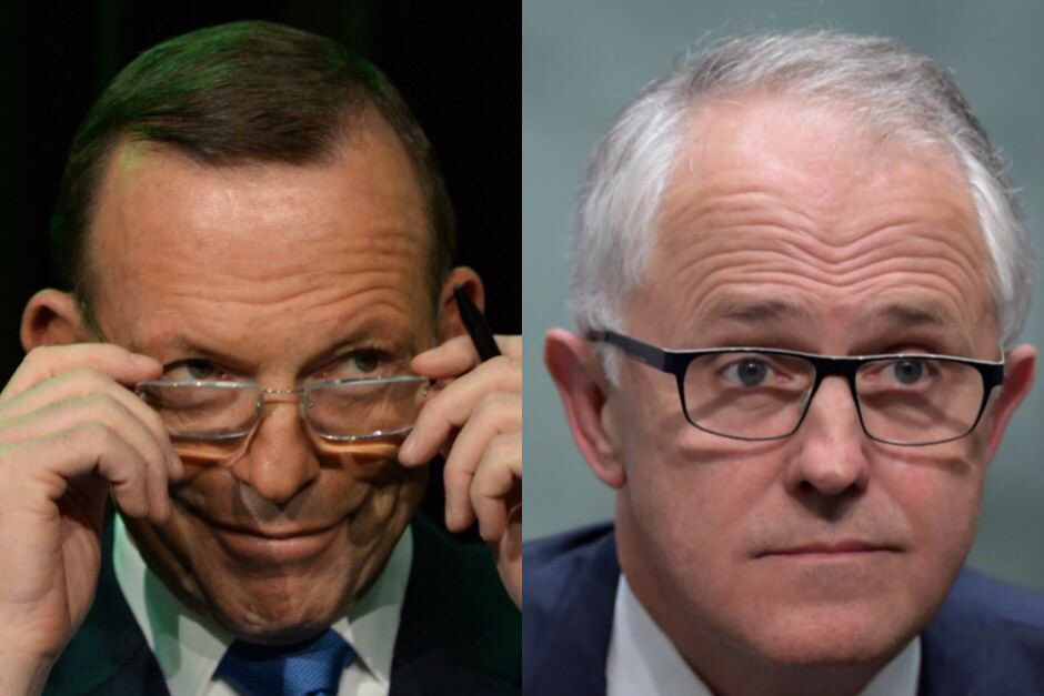 teakingw's tweet image. Herbert result means Turnbull has a majority of one. Tony Abbott is one of the votes he relies #auspol #notstable