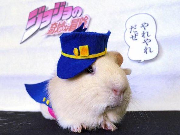 SamePicWriggle's tweet photo. @A_HeatBeat important test https://t.co/verSWoBSgU