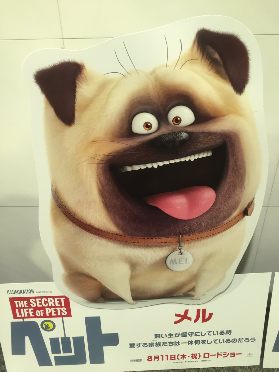 かぬか光明 Pa Twitter 8月11日 木 から映画 ペット が公開されます 飼い主の留守中にペット達は何をして過ごしているのか 可愛い ペット達が沢山です 是非劇場で楽しんでください 自分はパグの メル の吹替を担当させていただきました W