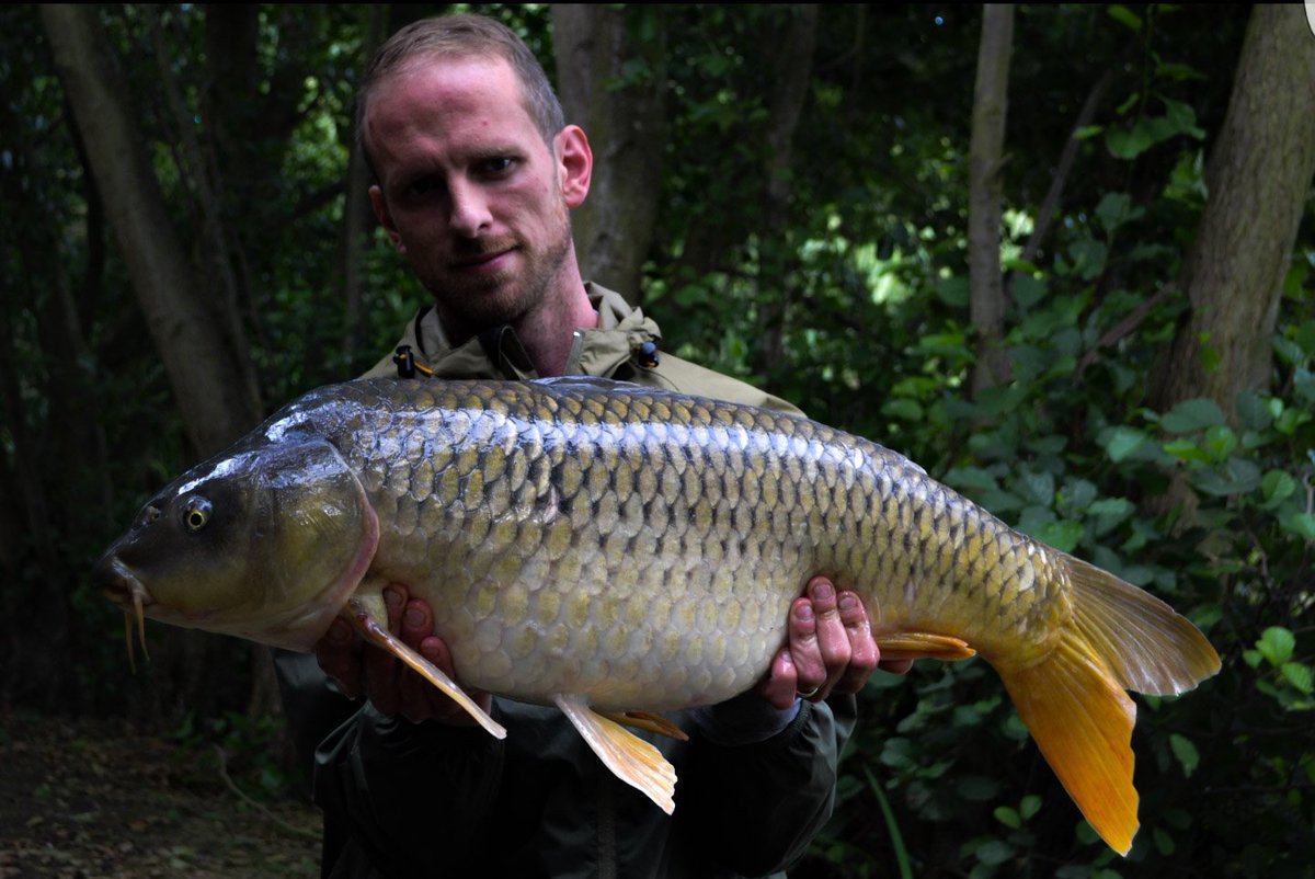 DusterBaits's tweet photo. Media man Marin haveing a stunner at 25lb+ on the fruity fruit fix @Carpwatch @AdvancedCarpMag @TotalCarpMag https://t.co/avNtPIxEN6