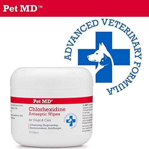 dogpointofview's tweet photo. Pet MD - Chlorhexidine Wipes with Ketoconazole and Aloe for Cats and Dogs… https://t.co/PisnXSD2KO #dogspointofview https://t.co/bjOHk5nXOY