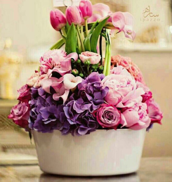 s_qhq's tweet photo. الف مبروووك شاهدين لك بالخير🎉🎉👑👑 #مفاهيم_الخجل_5k_مُحب https://t.co/dRSbvZtQrc
