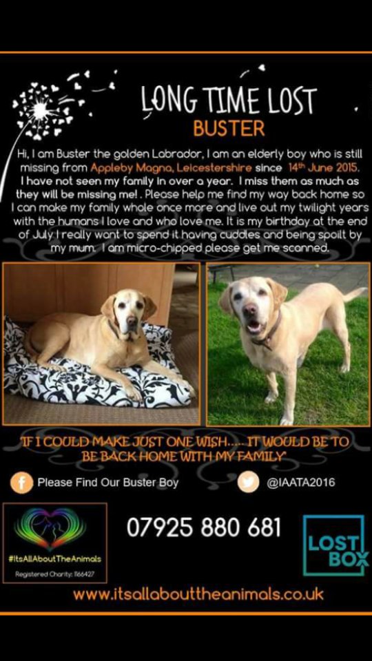 It's Buster's Birthday today, he's 12yrs old &amp; still missing. Pls RT &amp; HELP #FINDBUSTER for mum <a href="/samanthacauser/">sam causer</a> TY!