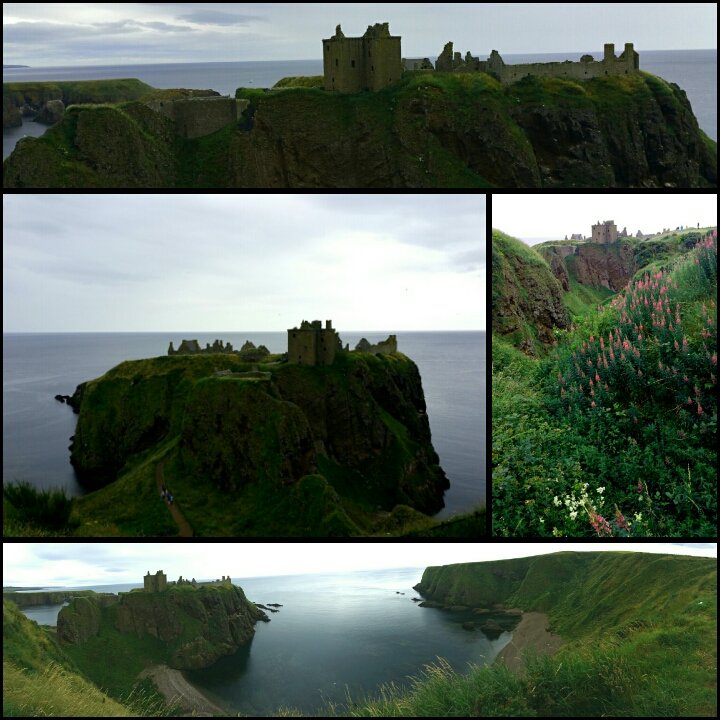 SpaceClinics's tweet photo. Spectacular Summer Scotland @VisitScotland memories of @Aberdeen @castledunnottar @museumbw #BanchoryShow #Breadslap https://t.co/aQdErGMB7Y
