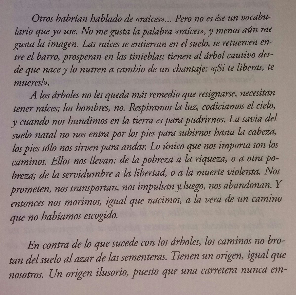 Ángela Ordóñez (@angelaordnez) on Twitter photo #Orígenes <a href="/Amin__Maalouf/">Amin Maalouf</a>   Otros habrían hablado de "raíces"... Pero no es ese un vocabulario que yo use. #Orígenes <a href="/Amin__Maalouf/">Amin Maalouf</a>   Otros habrían hablado de "raíces"... Pero no es ese un vocabulario que yo use.