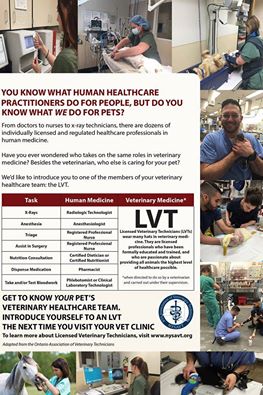 NYSAVT (@nyslvts) on Twitter photo #LVTs in #NY Want to be included in our #campaign to raise awareness for the #profession? EMAIL nysavt@gmail.com #LVTs in #NY Want to be included in our #campaign to raise awareness for the #profession? EMAIL nysavt@gmail.com