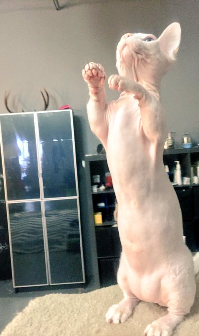 I can't remember the last time I cared so little about anyone or anything.  Except my cats.  I always<a href="/tag/gasmask"class="tags"><span>#gasmask</span></a>