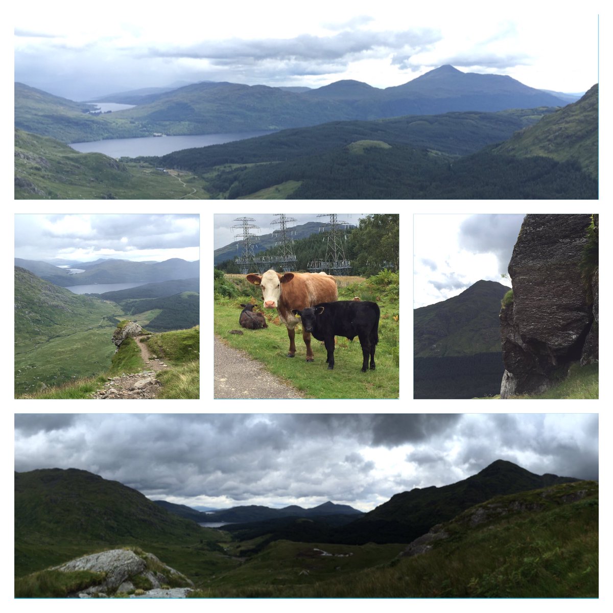 RoisinEB's tweet photo. Surprisingly sheer and beautiful #benvane today! @mssocietyuk #walkhighlands #justgiving #trainingforkili #scotland https://t.co/XrMqC6Ey0B