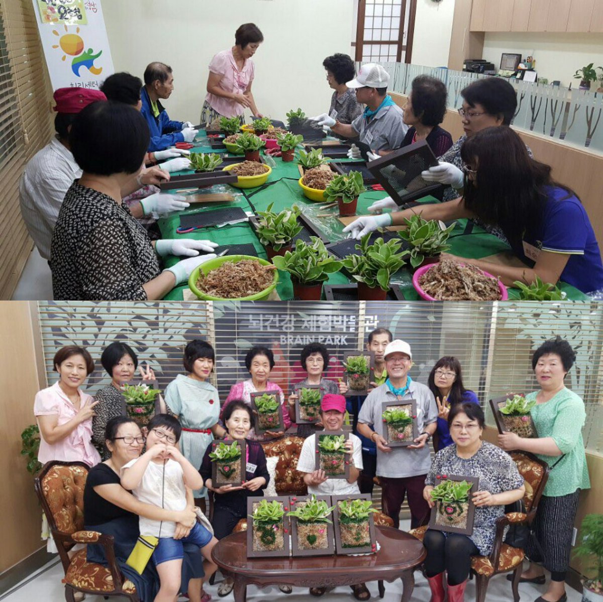 seo1405's tweet image. 성남시 초.중기 암환자를 위한 힐링센터  "늘해랑" 입니다
이번에 원예요법시간에는
액자정원"호야"를 만들었어요
폭염에도 늘해랑에 와주신 우리 환우분들 환한미소가 액자에 실려야겠어요♡ #성남시