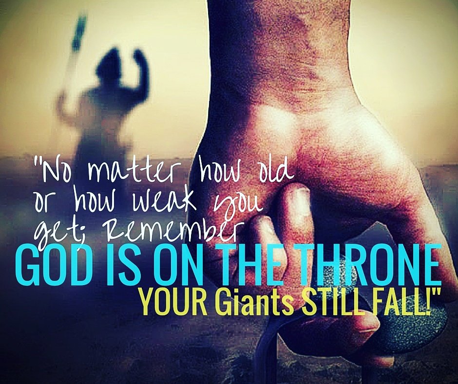 rayf2f's tweet image. 