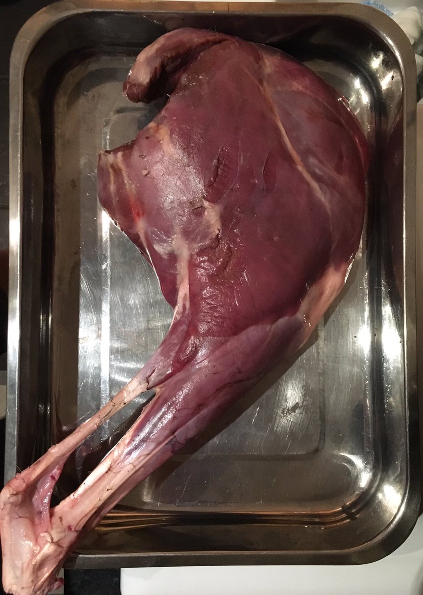 PoppyRustyBus's tweet photo. Flying visit to the parents near Tavistock. Greeted by this beauty waiting for me to do my thing! Venison tomorrow! https://t.co/9pwnbrhMt0