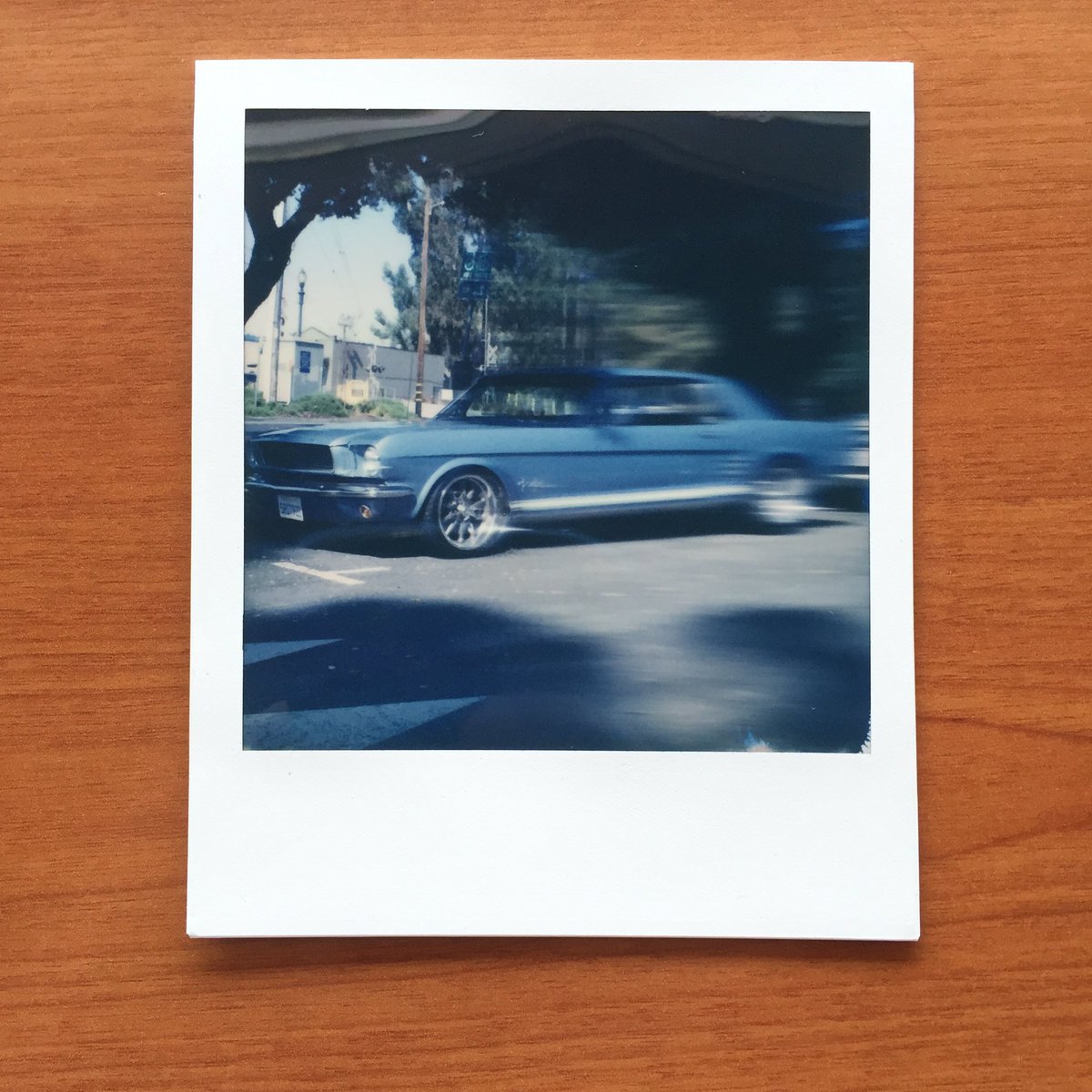 mrdannysanchez's tweet photo. Rushing to the stop, 2016. Taken with @Impossible_HQ #PX600 with #680slr #believeinfilm #makerealphotos #instantfilm https://t.co/CNEzazAVQZ