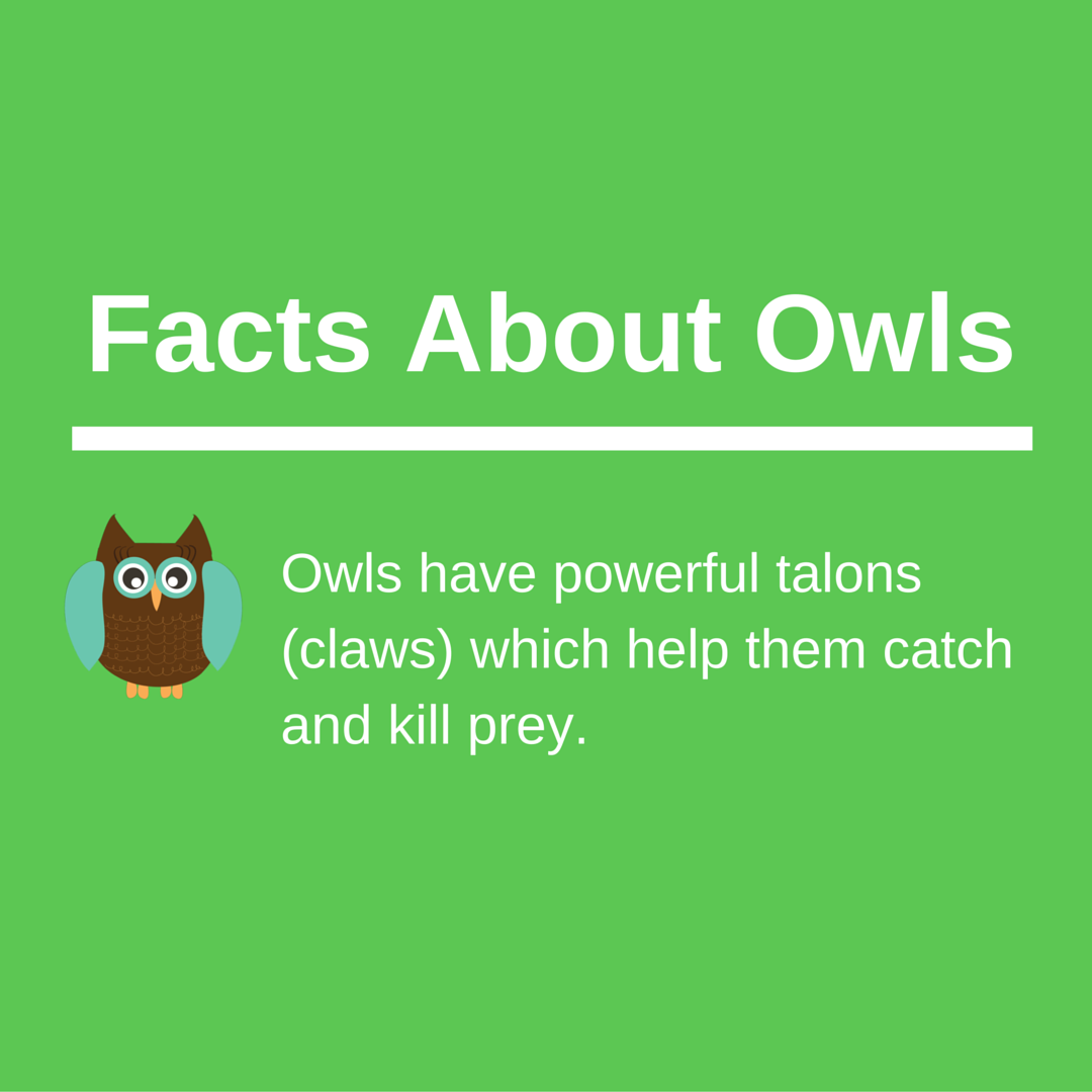 keepforests's tweet image. Share To Help Promote Awareness About Forest &amp;amp; Wildlife Conservation: KeepForests.com