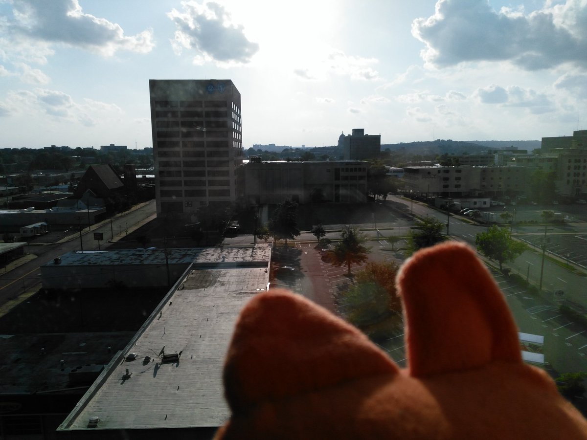 DrBoxfox's tweet photo. Hello Little Rock! #Boxfox https://t.co/RFl9qc5uis