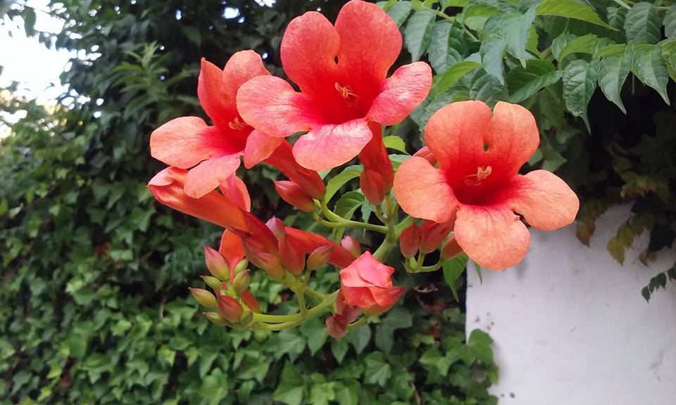 VisitElPuerto's tweet photo. El Puerto donde el color y la belleza siempre te acompaña. #VisitElPuerto https://t.co/h0dwqBbzwQ