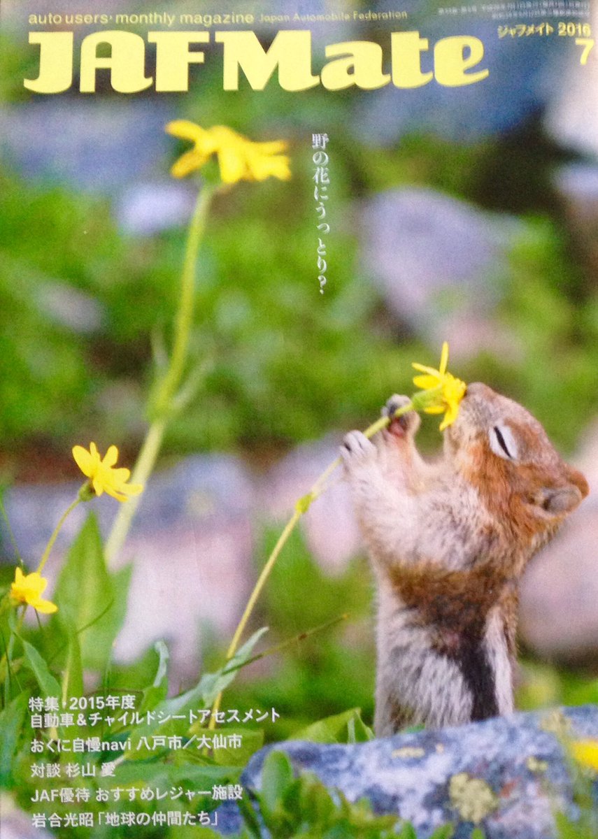 ゆずず En Twitter jafの会報誌の表紙が岩合さん写真になってから 毎月届くのが楽しみになりましてん スタパ 世界ネコ歩き ゆずず En Twitter jafの会報誌の表紙が岩合さん写真になってから 毎月届くのが楽しみになりましてん スタパ 世界ネコ歩き