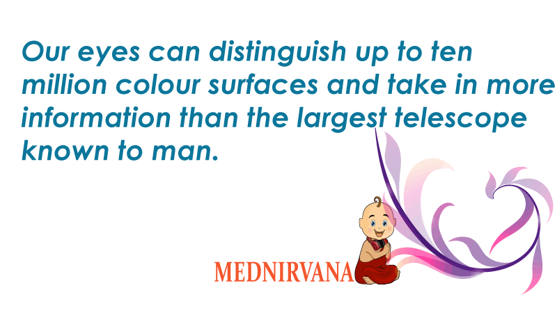 MedNirvana's tweet photo. Eyes can take more information than the largest telescope !!
https://t.co/itWfkYkW6N
#Healthapp #mobileapp #Eyes https://t.co/CeIxPu136N