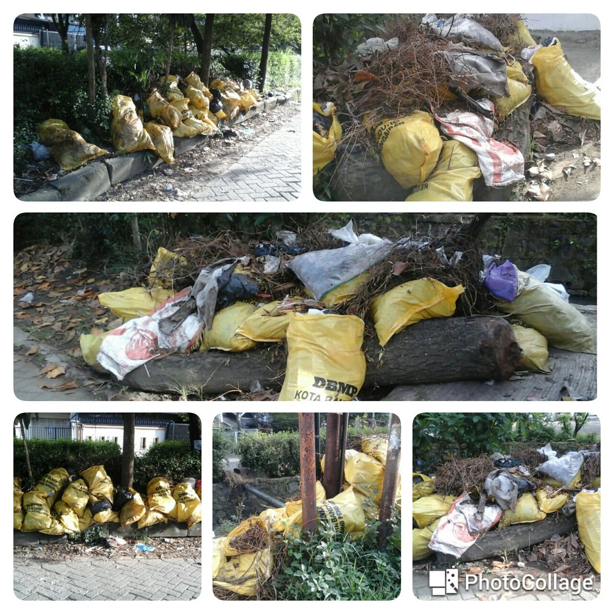 kimskajuara's tweet photo. Mhn bantuan angkutan sampah Ex pengerjaan @dbmpkotabdg di Rt.06/10 @sukaasih_bdg @KecBojongloakal cc.@ridwankamil https://t.co/INMSi7H0vd