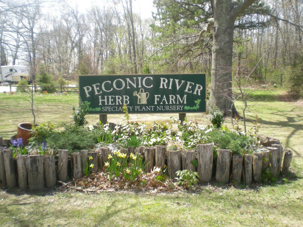 HopGrape's tweet image. PICNIC RIVER HERB FARM hopgrape.com/listing/picnic…