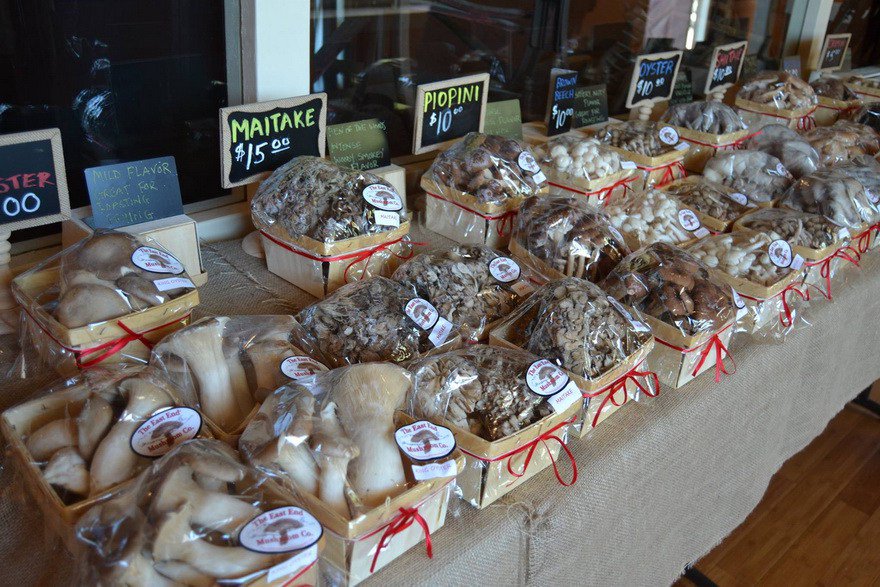 HopGrape's tweet image. THE EAST END MUSHROOM COMPANY hopgrape.com/listing/east-e…