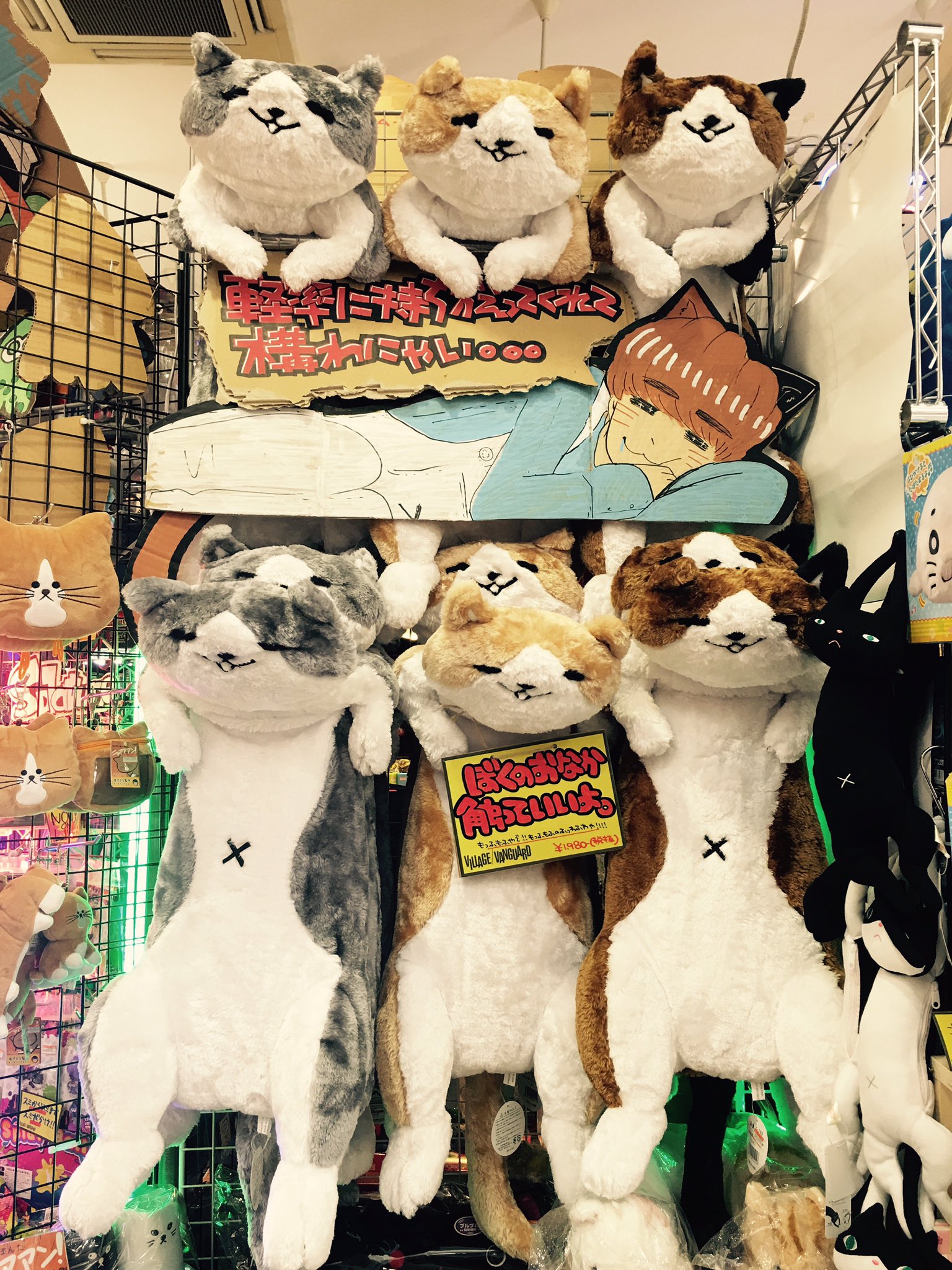 ヴィレッジヴァンガードイオンモール熱田 おはようございます 再入荷 もっふもふのふわっふわ の にゃん太添い寝ぬいぐるみが入荷してますよー グレー 茶 三毛の3種類 クーラーのお部屋でにゃん太と一緒にお昼寝 想像しただけで癒され