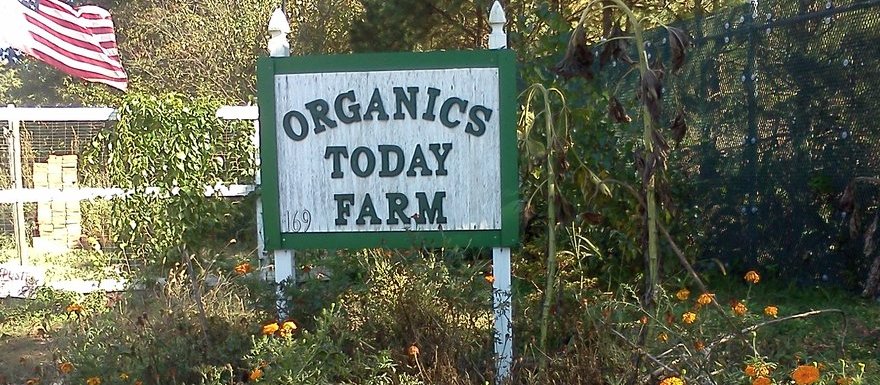 HopGrape's tweet image. ORGANICS TODAY FARM hopgrape.com/listing/organi…