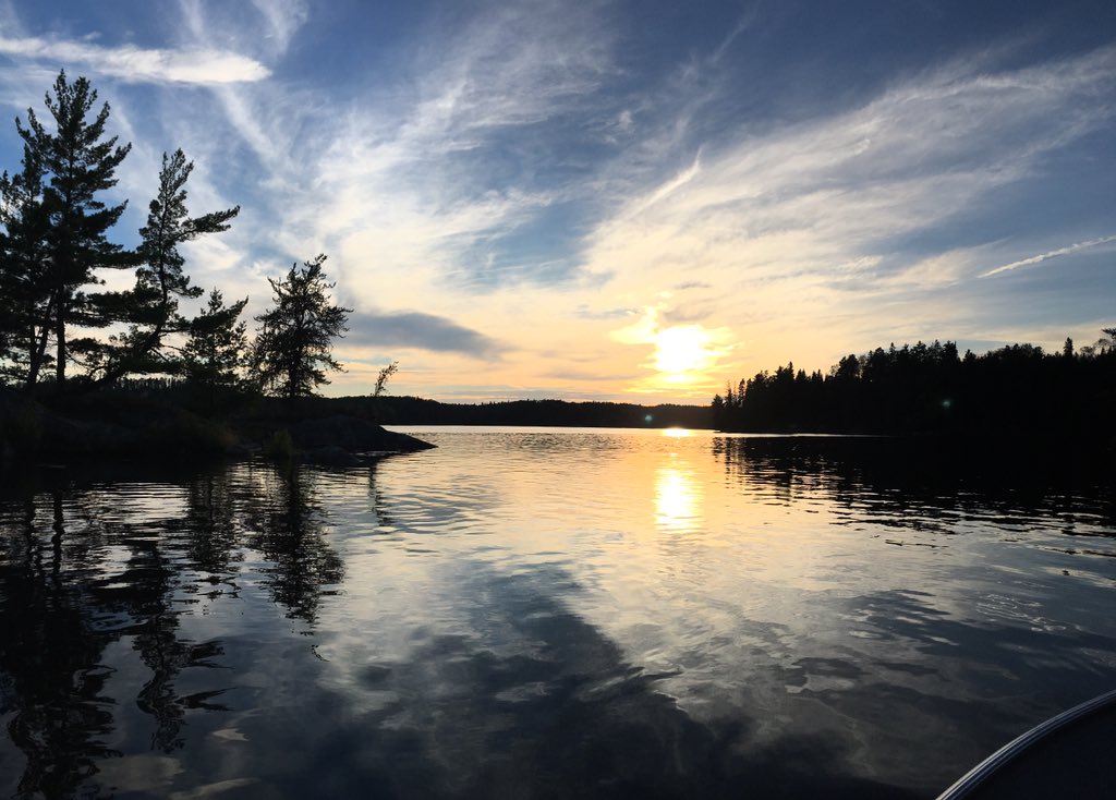 Christina Crowley-Arklie tweet media