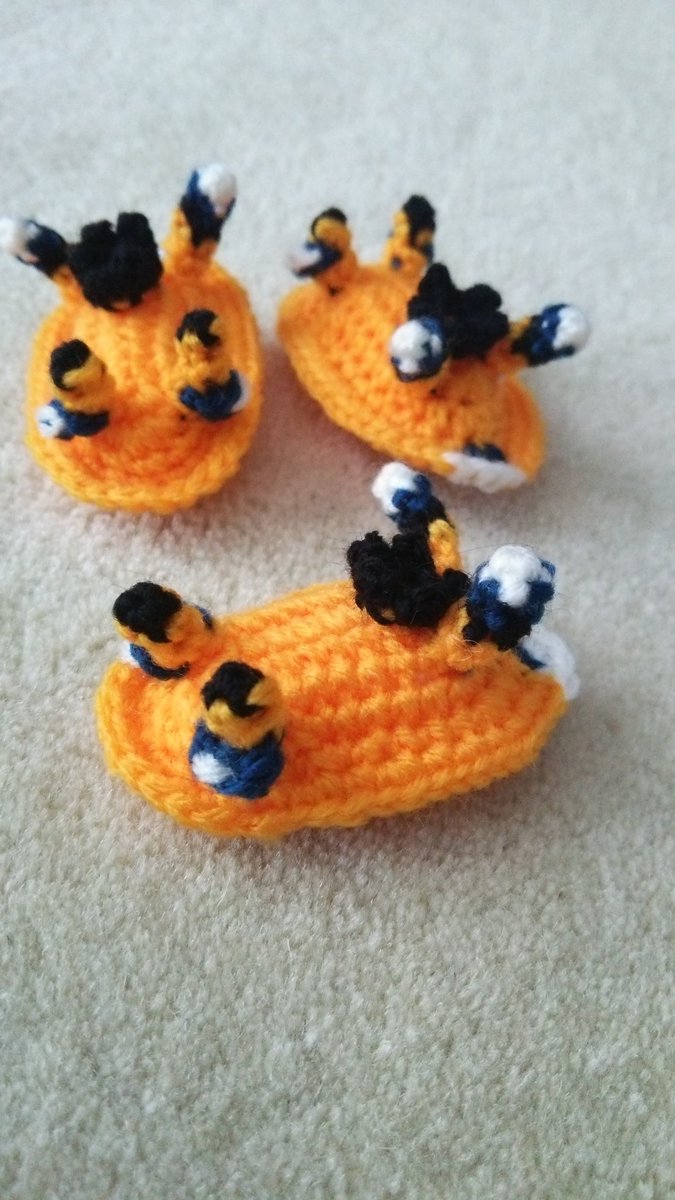 ぽぽぽ本舗 Twitterren ウデフリツノザヤウミウシ 別名ピカチュウウミウシ 8 21は原宿デザフェスギャラリーでポケモンgetだぜ あみぐるみ ウミウシ ウミウシ展2 ぽぽぽウミウシ100匹祭16