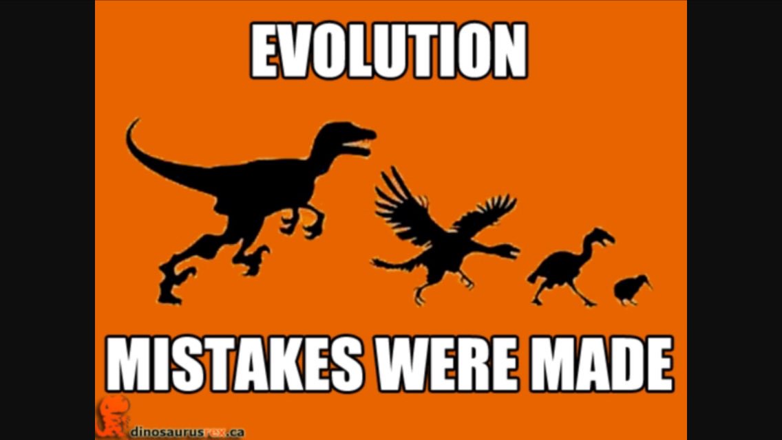 Dinosaur Memes (@dailydino6456) / Twitter Dinosaur Memes (@dailydino6456) / Twitter