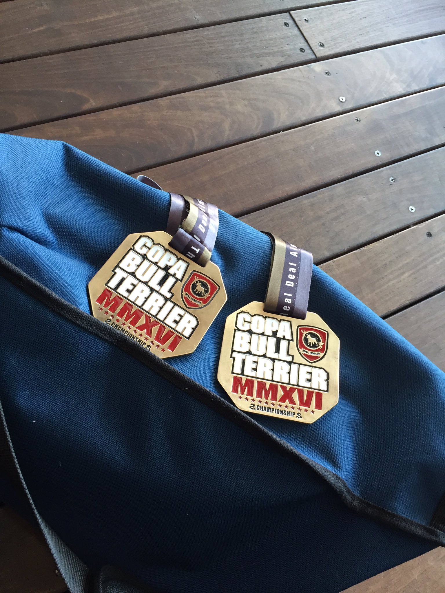 Kingレイナ 公式 コパブルテリア 柔術の試合 階級別オープンクラス共に腕十字とアームロックで全て1本勝ちして優勝しました これで柔術のメダル３つ目 艸 ｸｽｸｽｗ めっちゃ楽しい さー次ある試合に向けて練習するぞぉー 罒 T Co