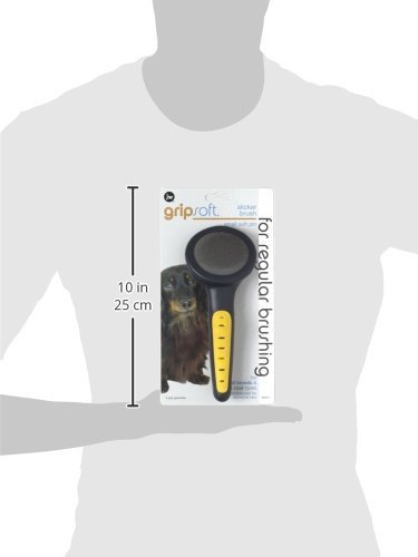 dogpointofview's tweet photo. JW Pet Company GripSoft Slicker Soft Pin Dog Brush, Small https://t.co/zYU4YR22rm #dogspointofview https://t.co/8UgYaLzXQ3