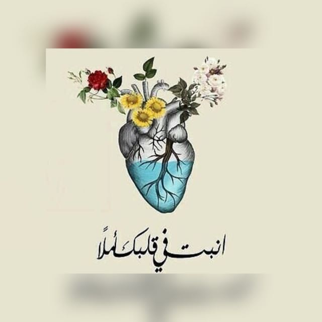 albaradi1412's tweet photo. مهما بلغ بك التعثر والشتات لا تيأس، ماذبلت عين إلا وفوقها رب يُخبىء لها الأجمل ✨ https://t.co/RSTWWjfqIO