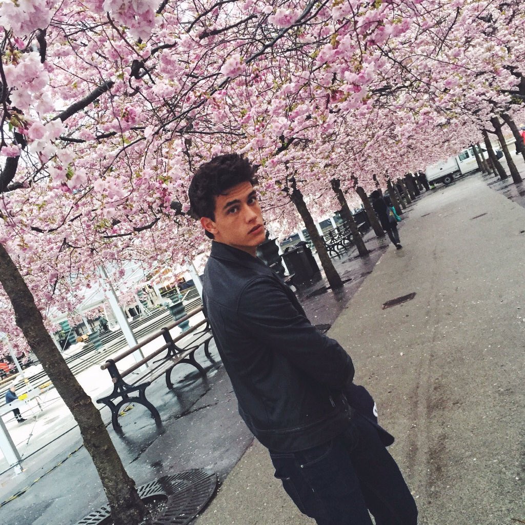 QuarrelTenacity's tweet image. 🌸