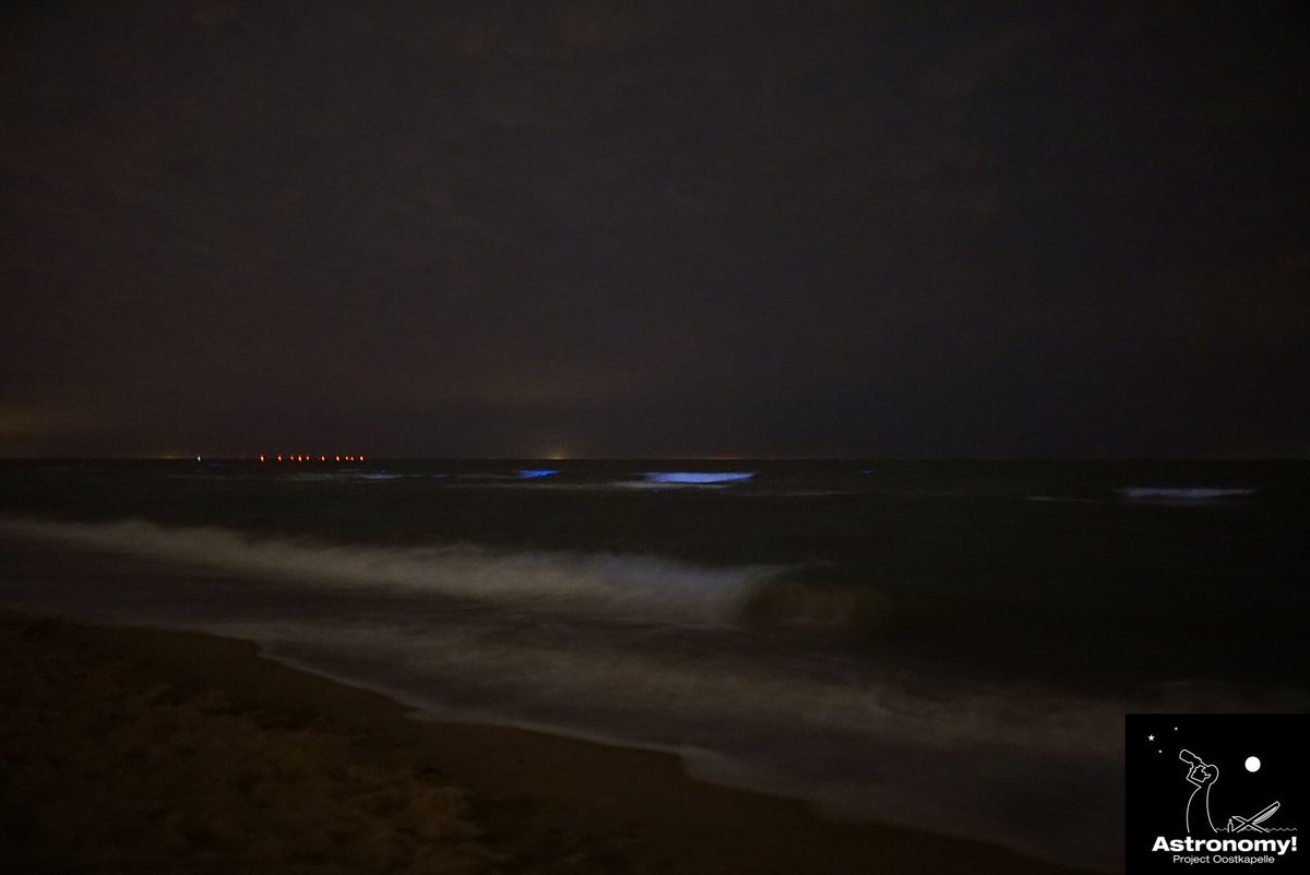Doenker's tweet photo. #Zeevonk afgelopen nacht weer zichtbaar vanaf het strand te Oostkapelle https://t.co/OnQ0Gh8jMD