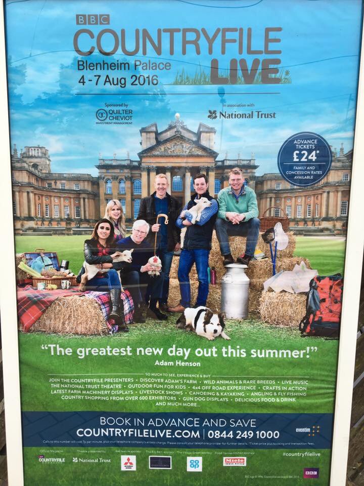 HenleyYFC tweet media