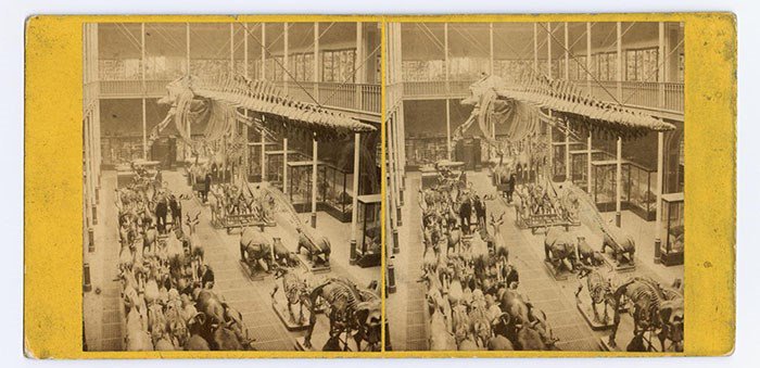 PhotoFramed's tweet photo. "Online Course: Victorian Stereography #FLstereoscopy via British photographic history: https://t.co/pMo7qSf8U0 https://t.co/8pR9QkhBqx