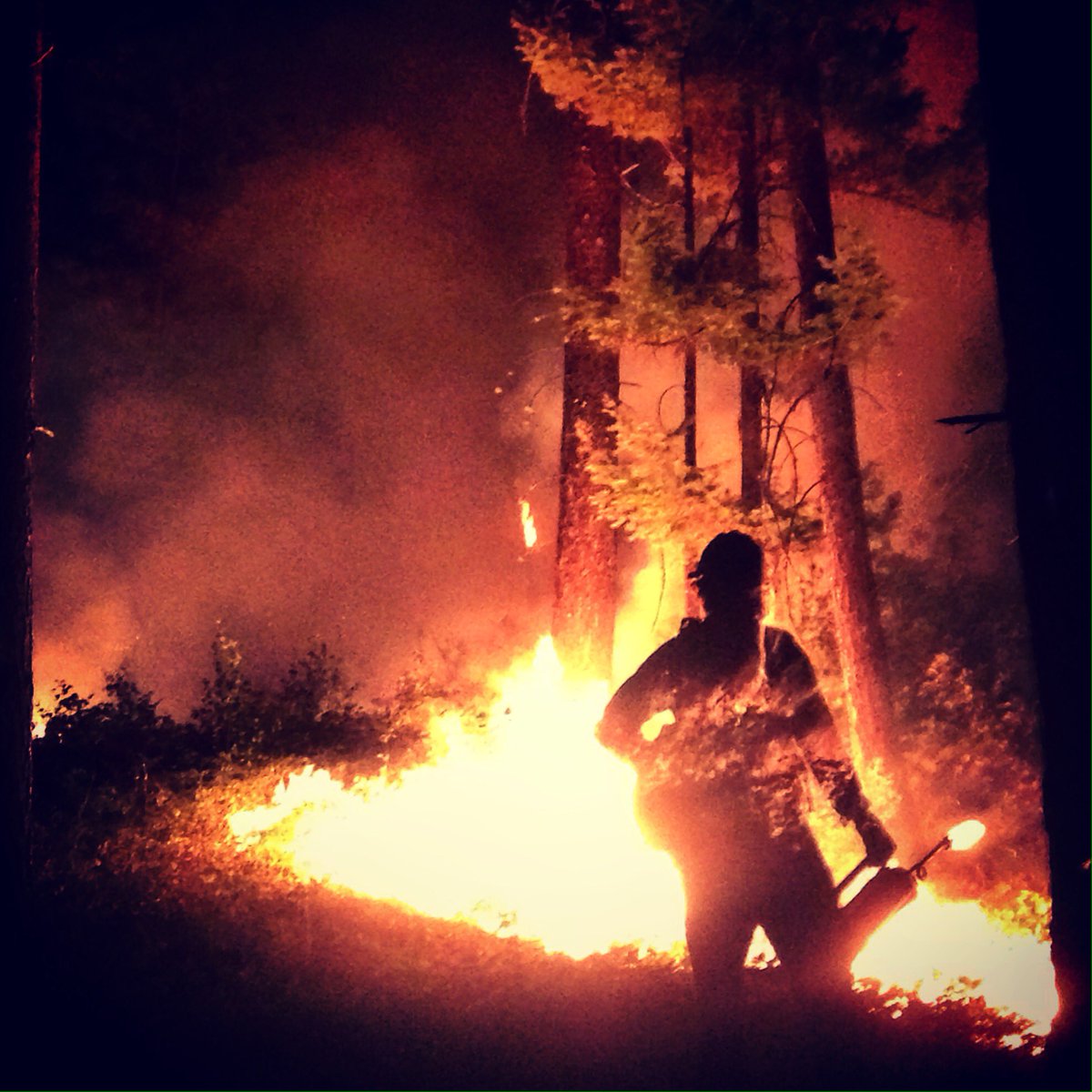 BitterrootIHC's tweet image. Night ops, Roaring Lion Fire
