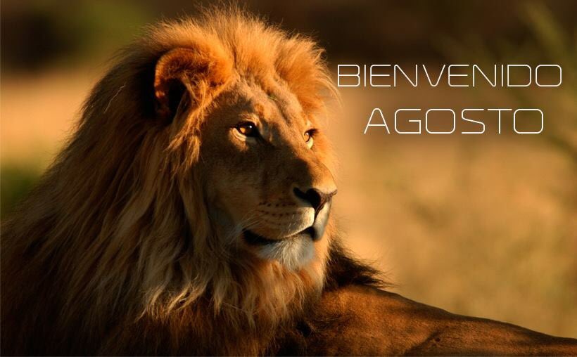 Tony Michoacán tweet media