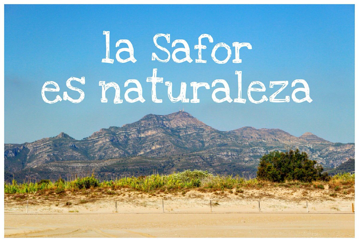 Turisafor's tweet photo. #BienvenidoAgosto #FelizLunes 1er día de #vacaciones para muchos Disfrutad de #laSafor y d su #naturaleza #turisafor https://t.co/n2tiYqPgAO