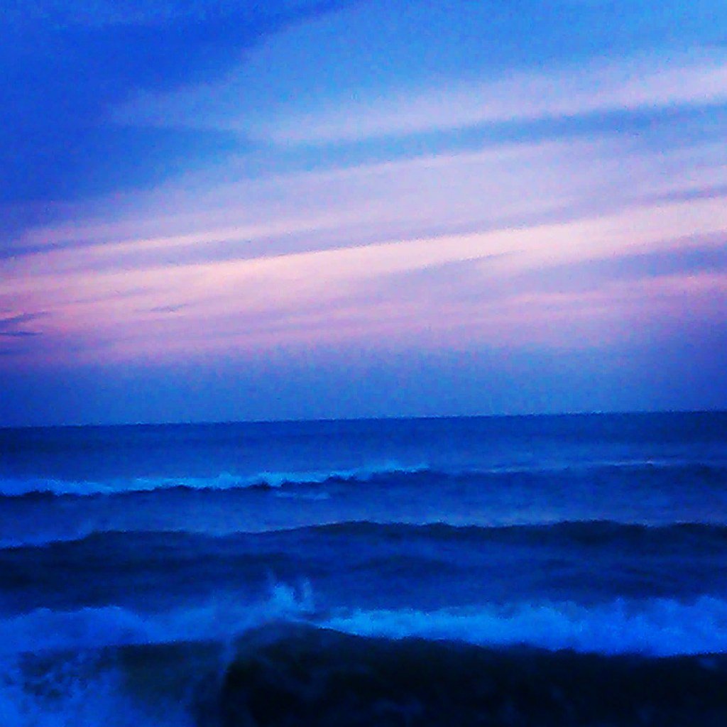 paniker_geetha's tweet photo. The roseate dawn. https://t.co/fT92PNVury https://t.co/m6lWEZpQWF
