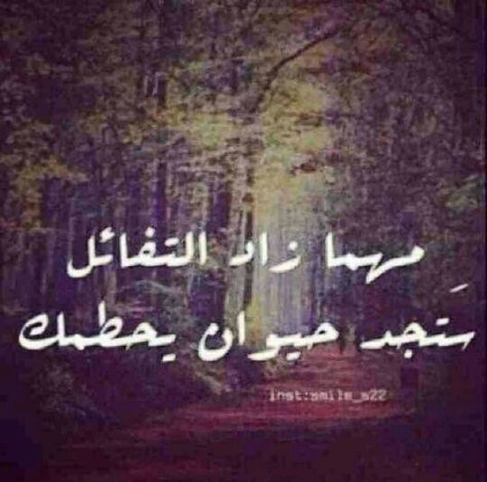 samaredwan's tweet image. تبا للحيوانات
😂😂😂