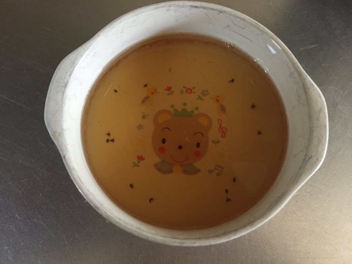 コバエ ホイホイ 作り方