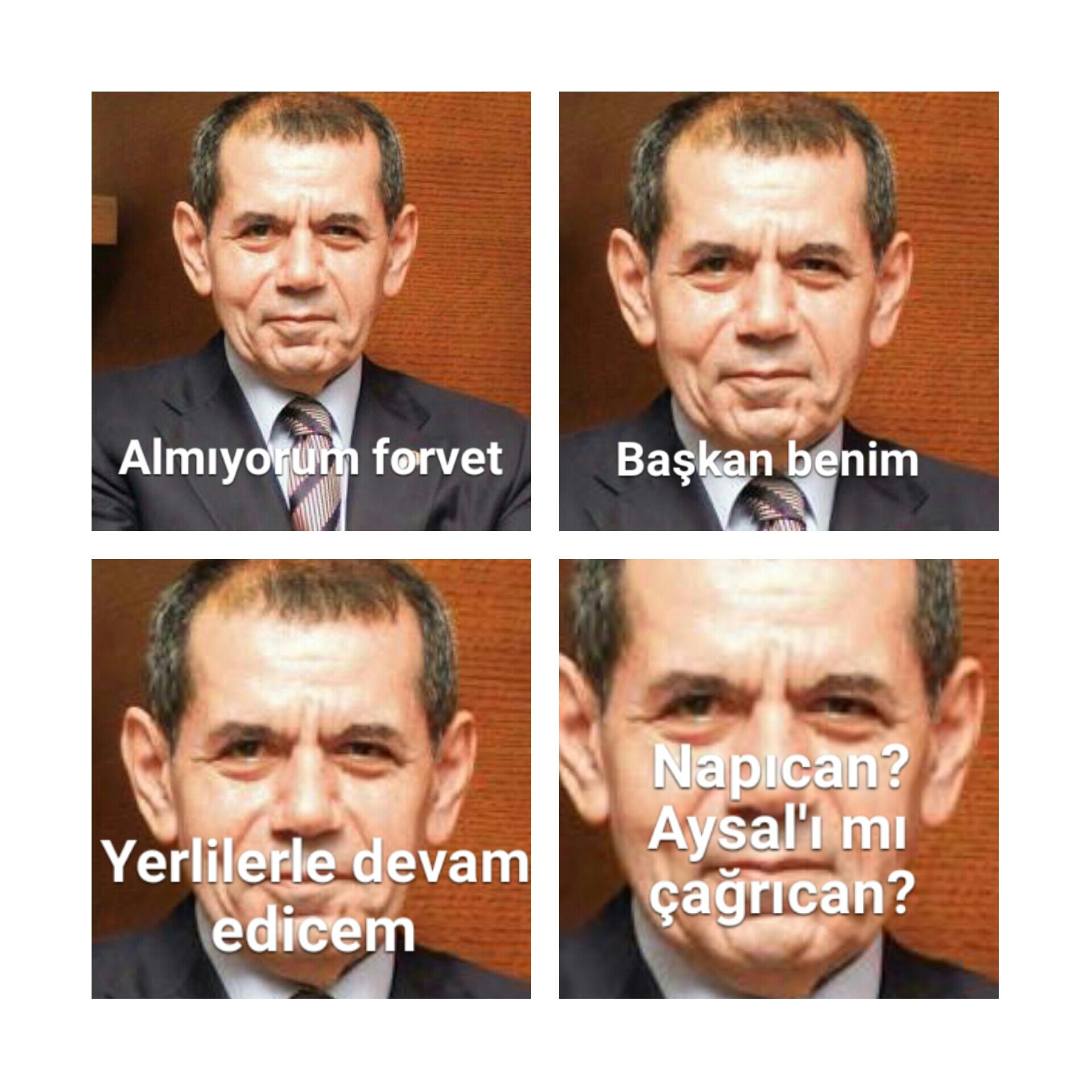 Cow_Ku9WAAAZImf.jpg:large