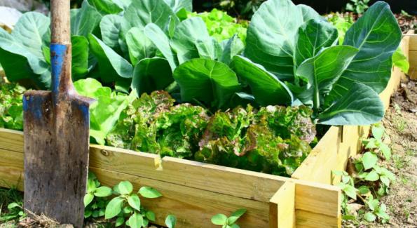 les2vaches's tweet photo. Comment fabriquer un carré de potager pour ses légumes #bio ? https://t.co/QZaXjFDCft https://t.co/anJEPUCkIZ