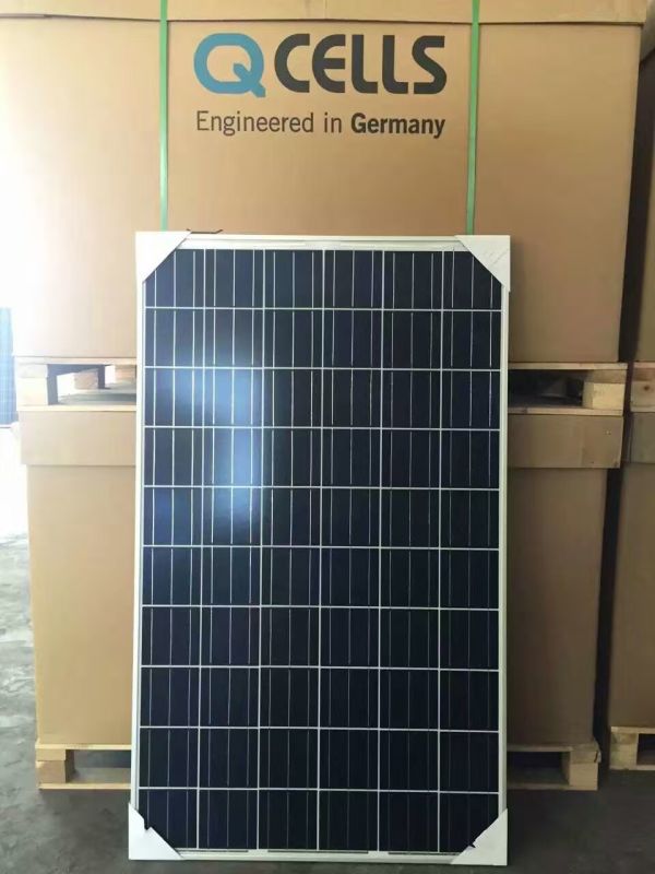 kittyzhang12's tweet image. If need detail, just let me know
Email : kitty@wisebiz-solar.com; kitty@wisebiz.net
Skype: wisebizkitty