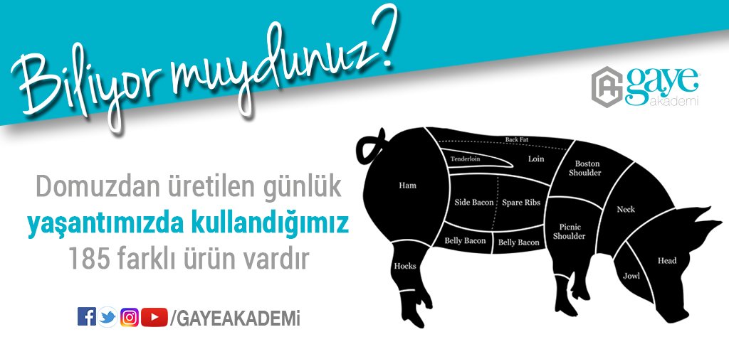 Kullandığımız ürünlere dikkat edelim. #biliyormuydunuz #helalgıda
