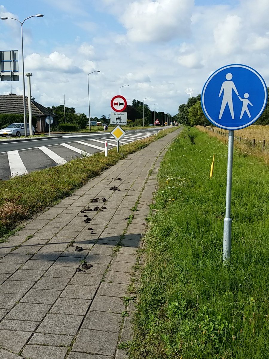 Wijkagent Jacqueline Coenraad tweet media