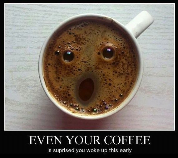 QuoteSuperMkt's tweet photo. Happy #Monday! 

#Coffee is the best #Monday #motivation! 

https://t.co/cZ4WiGLwBl

#MondayMotivation https://t.co/sUMjhjvE6K