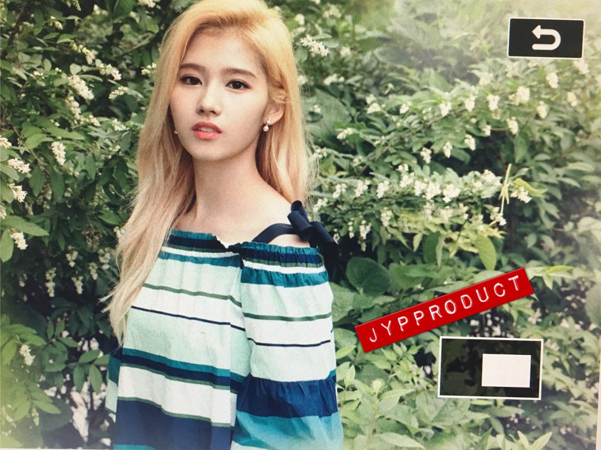 [트와이스] 제왑콘 포토북 프리뷰 사진 총정리 | 인스티즈