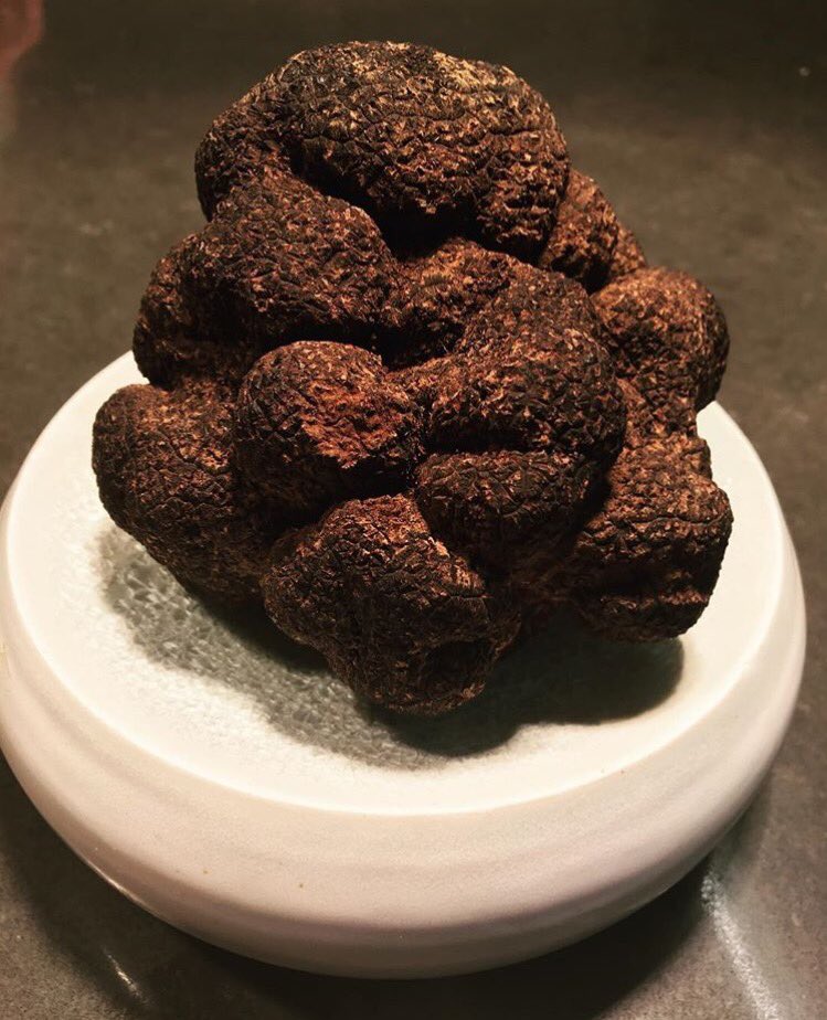 ThePressClub's tweet image. Just arrived from the Strathbogie ranges of Central Victoria. This baby is 350g! #thepressclubkitchen
